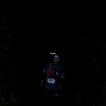 Runner Photo 5255829
