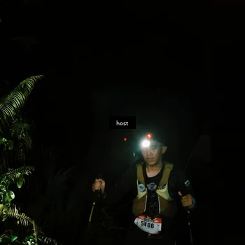 Runner Photo 5255843