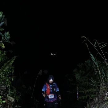 Runner Photo 5255846