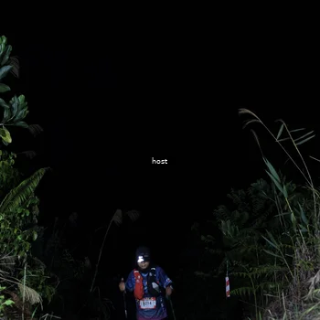 Runner Photo 5255852