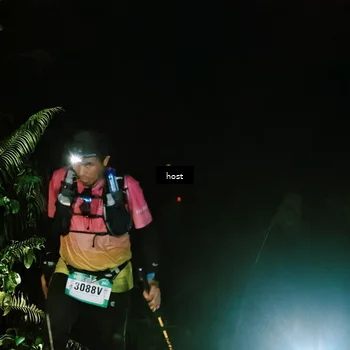 Runner Photo 5255858
