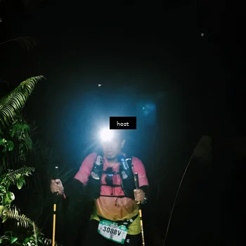 Runner Photo 5255862