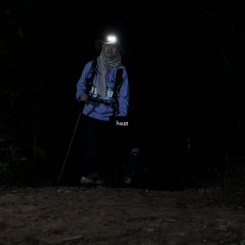 Runner Photo 5255934