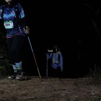 Runner Photo 5255946