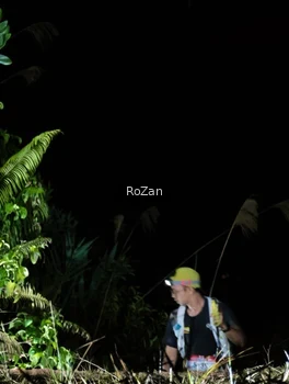 Runner Photo 5255987