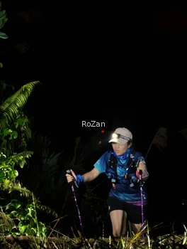 Runner Photo 5255990