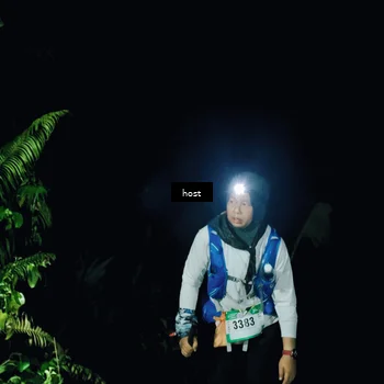 Runner Photo 5256008