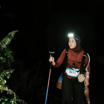 Runner Photo 5256011