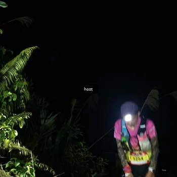 Runner Photo 5256053