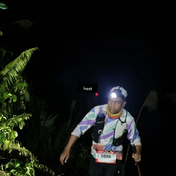 Runner Photo 5256107