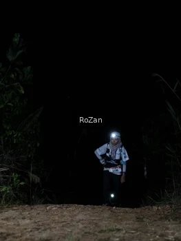 Runner Photo 5256177