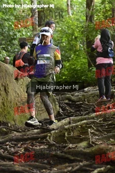 Runner Photo 525618