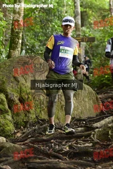 Runner Photo 525619