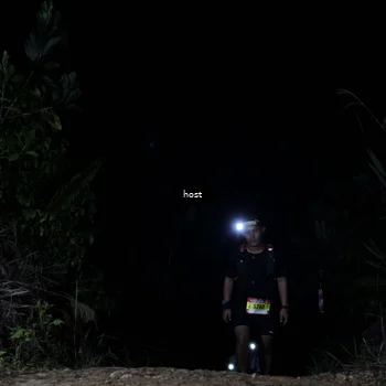 Runner Photo 5256199