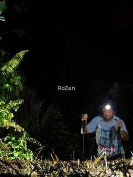 Runner Photo 5256217