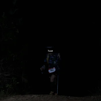 Runner Photo 5256222