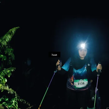 Runner Photo 5256245