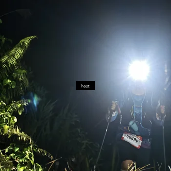 Runner Photo 5256267