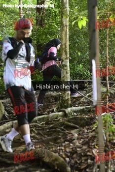 Runner Photo 525627