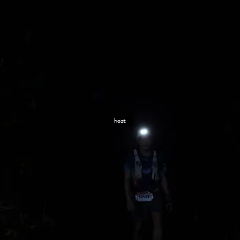 Runner Photo 5256392