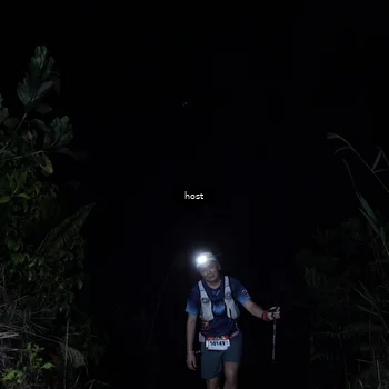 Runner Photo 5256395