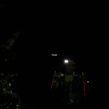 Runner Photo 5256443
