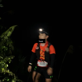 Runner Photo 5256448