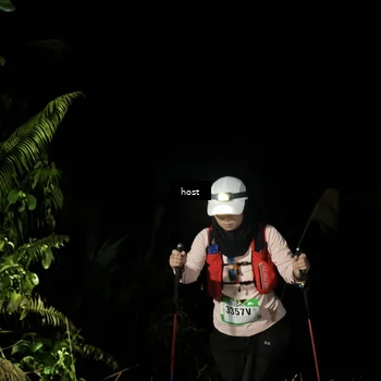 Runner Photo 5256488
