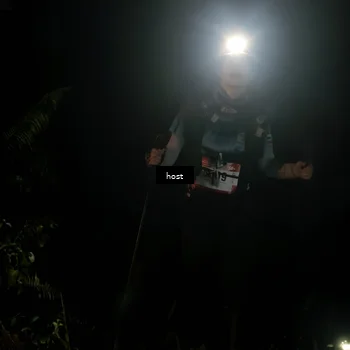 Runner Photo 5256489