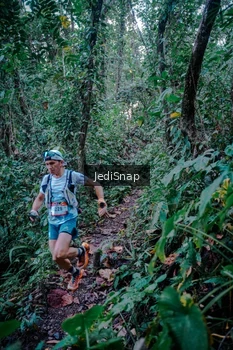 Runner Photo 5256746
