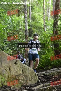 Runner Photo 525695