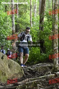 Runner Photo 525697