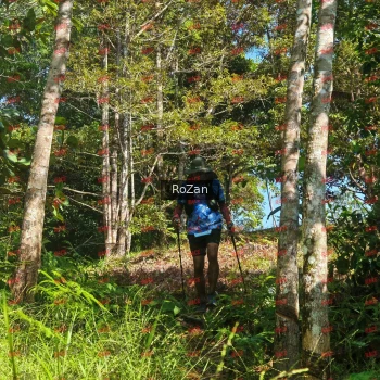 Runner Photo 5257