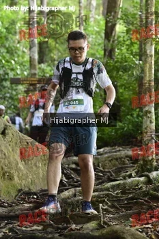 Runner Photo 525712