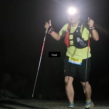 Runner Photo 5257918