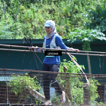 Runner Photo 5258522