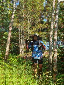 Runner Photo 5259