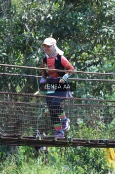 Runner Photo 5259276