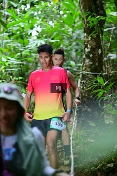 Runner Photo 5259731