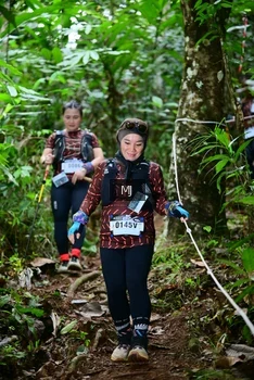 Runner Photo 5259765