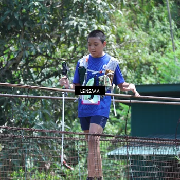 Runner Photo 5259831