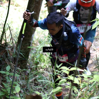 Runner Photo 5259833