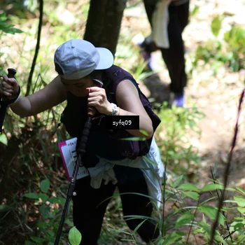 Runner Photo 5259894