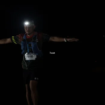Runner Photo 5260554