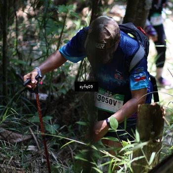 Runner Photo 5260569