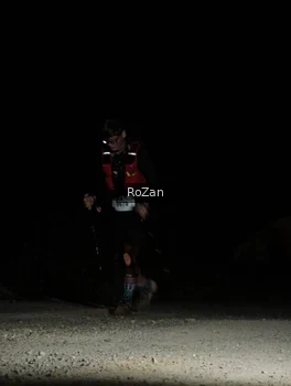 Runner Photo 5260971