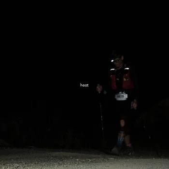 Runner Photo 5260973