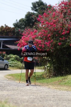 Runner Photo 5260986