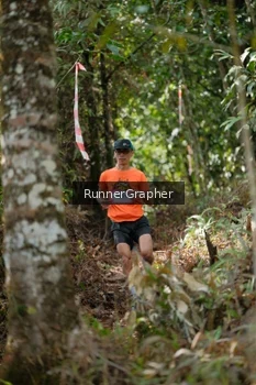 Runner Photo 5262229