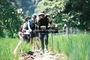 Runner Photo 5262270